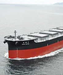 2015年國內(nèi)沿海貨運船舶運力分析